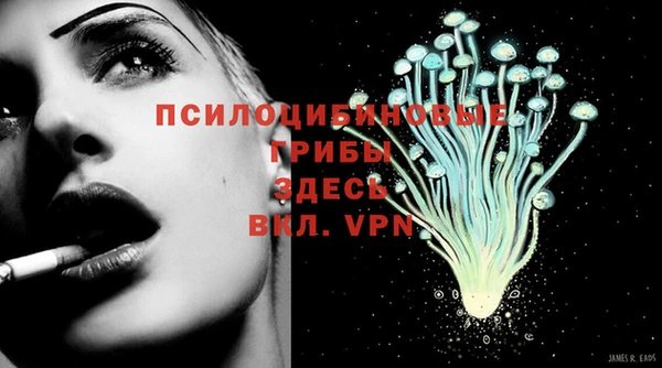 прущая мука Абаза