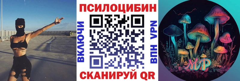Галлюциногенные грибы Psilocybine cubensis  Рассказово 
